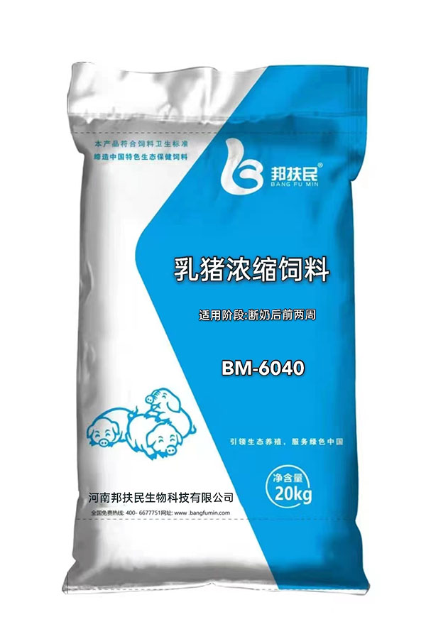 40%乳豬午夜福利小电影在线观看